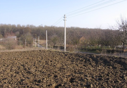 Земельный участок возле леса в с.Порозовое 6 км от Ровно